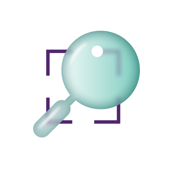 Investigation Icon