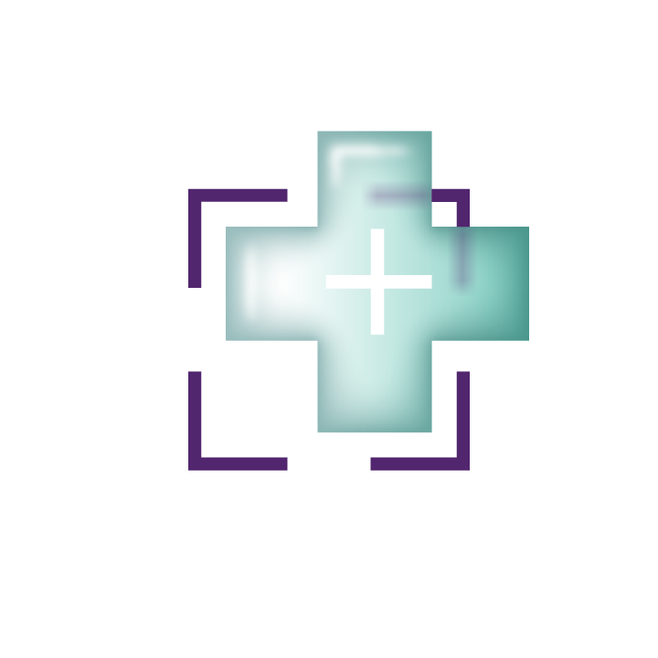 Health & Safety Icon