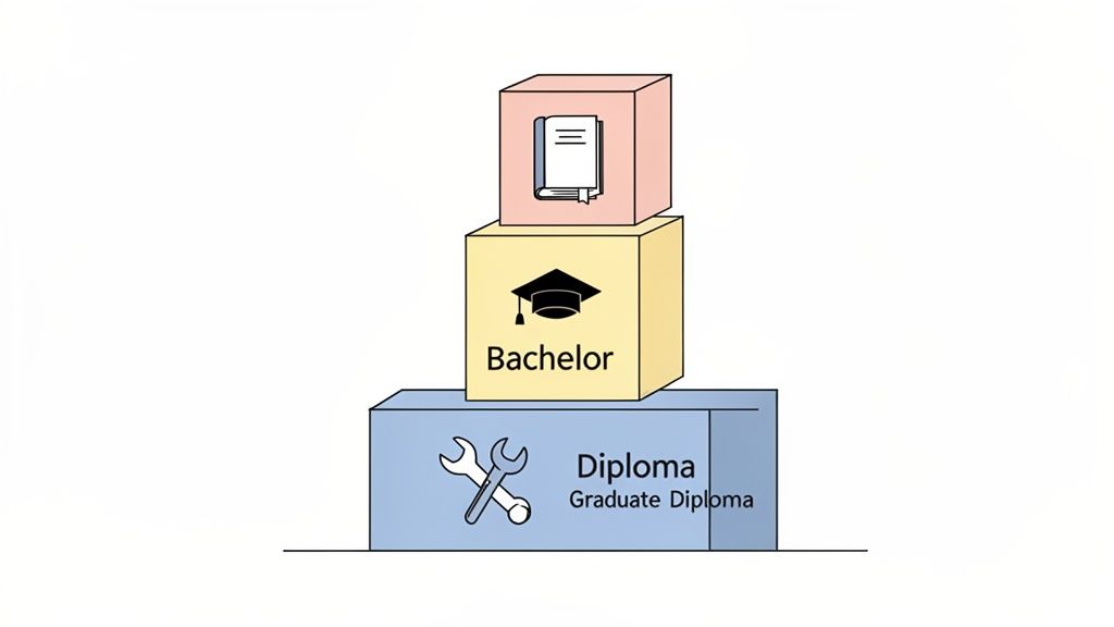 A stack of three blocks illustrating a progression of educational degrees: Diploma, Bachelor, and an advanced degree.