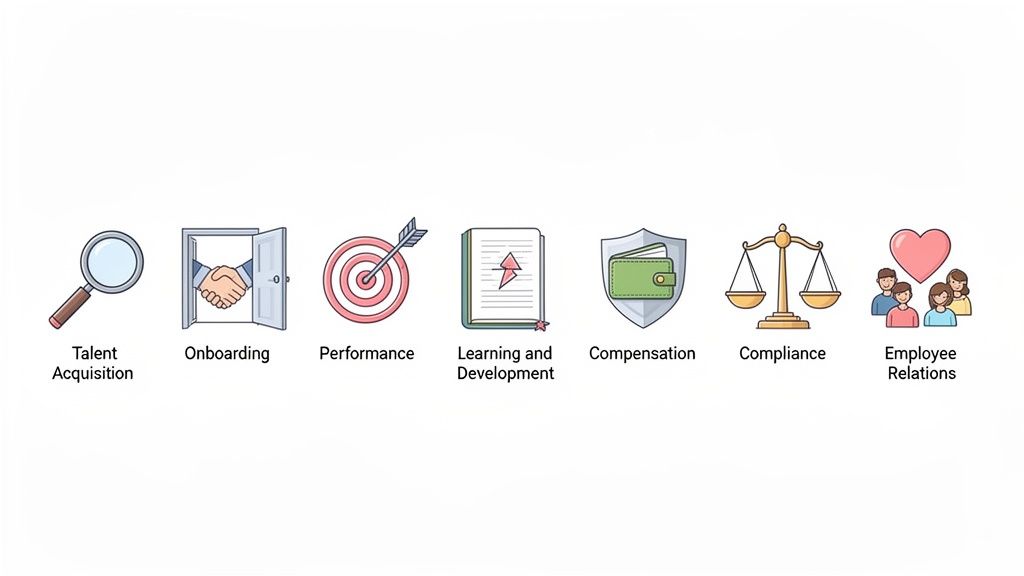 Seven icons illustrating core human resources functions: talent acquisition, onboarding, performance, learning, compensation, compliance, and employee relations.
