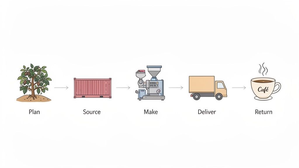 Illustration of the coffee supply chain, depicting stages from growing beans to making and delivering a hot cup.