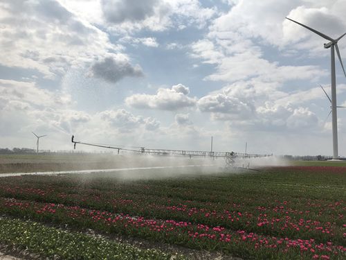 Briggs R46 beregeningsboom