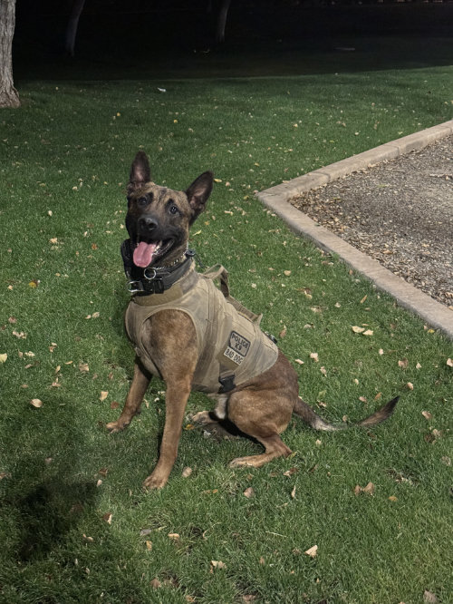 Pako