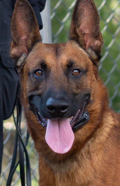 Jax