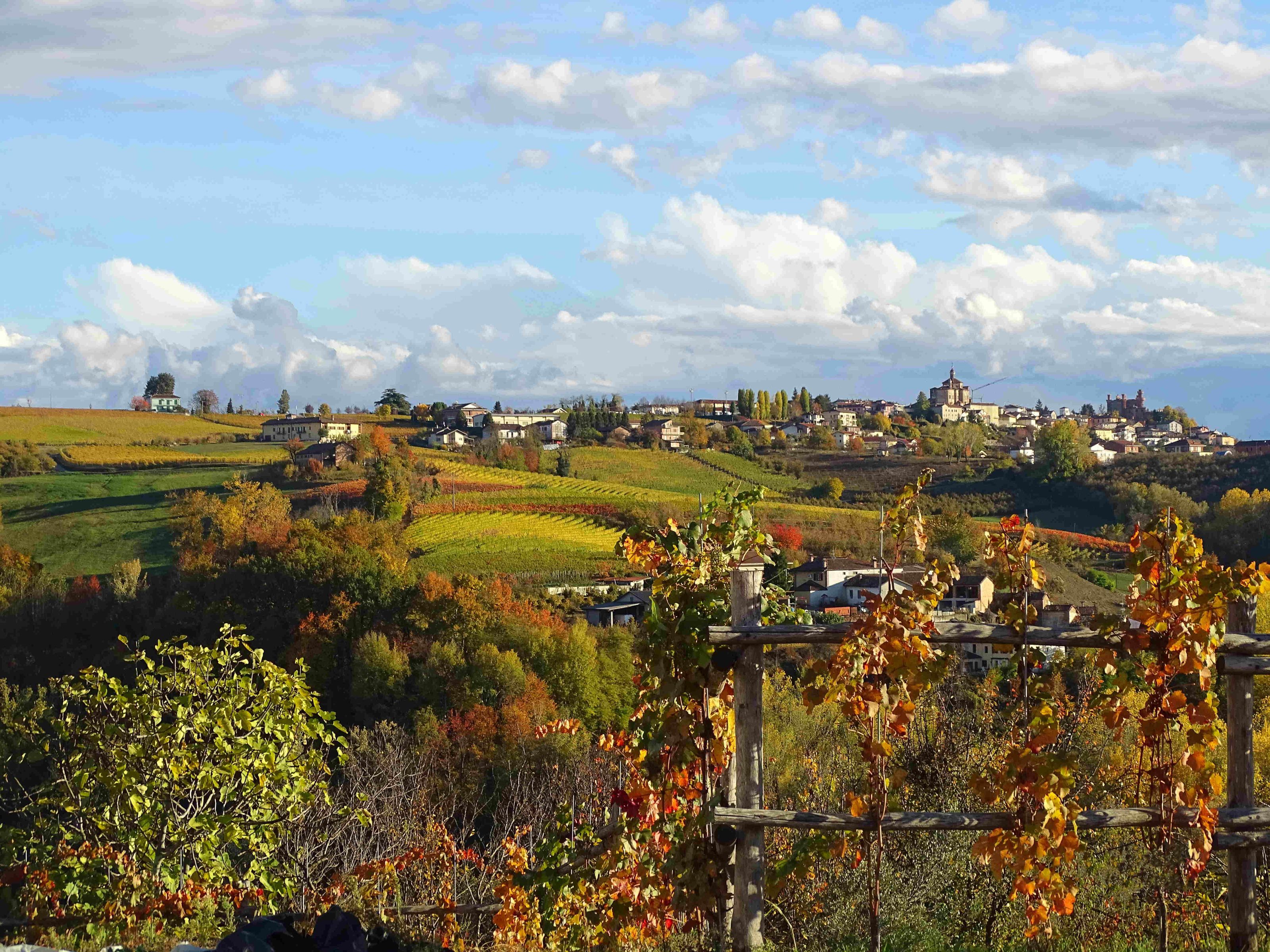 Valletti Roberta | Azienda Agricola — foto 3