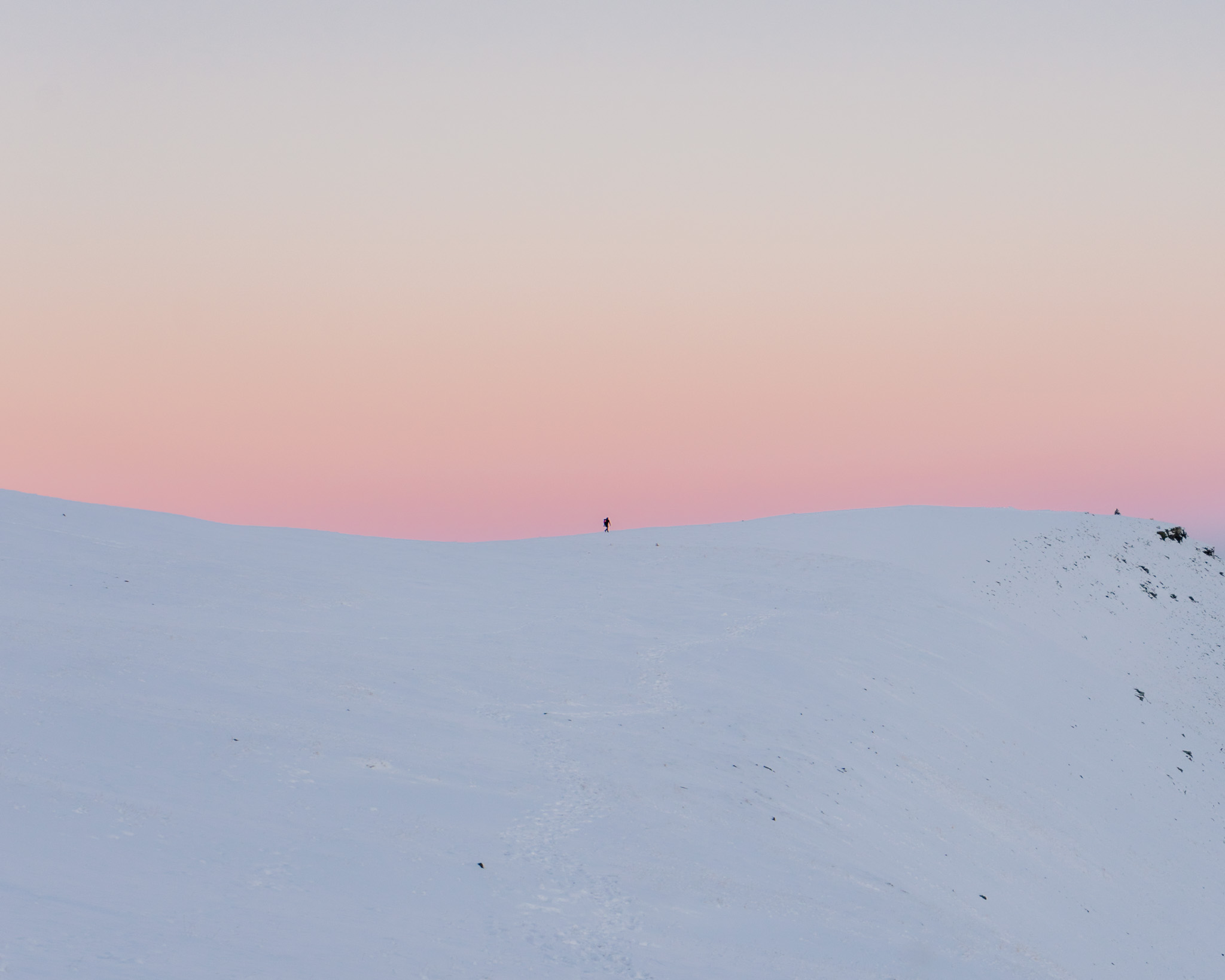 arctic