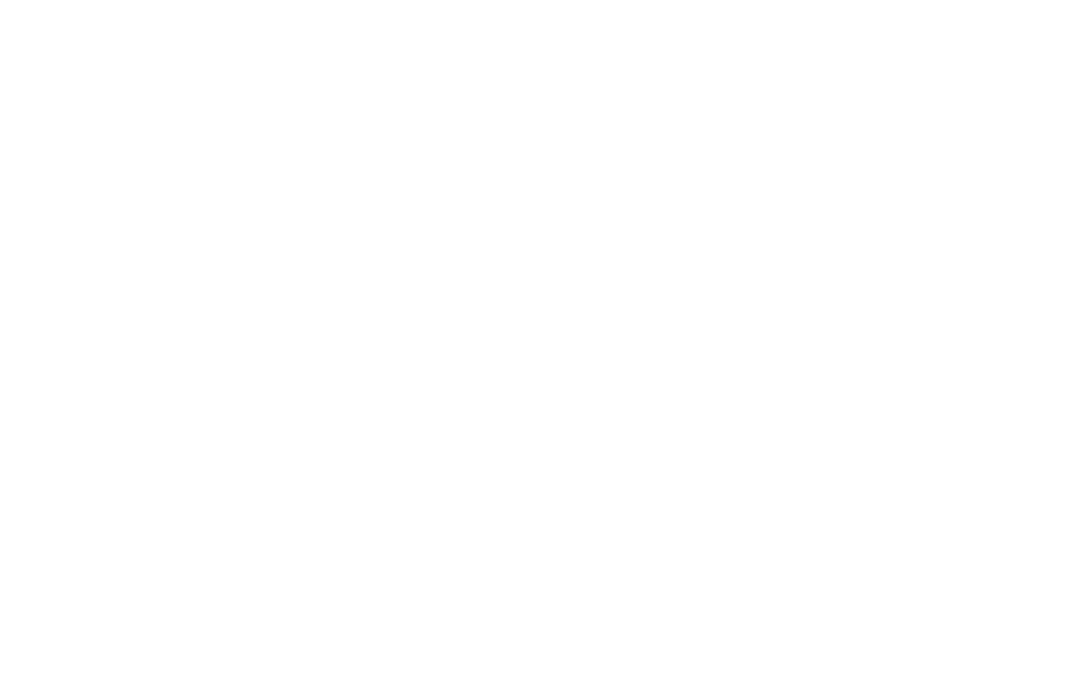 Skinn by Titan's Logo
