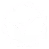 Round badge outline with a checkmark inside indicating approval or verification.
