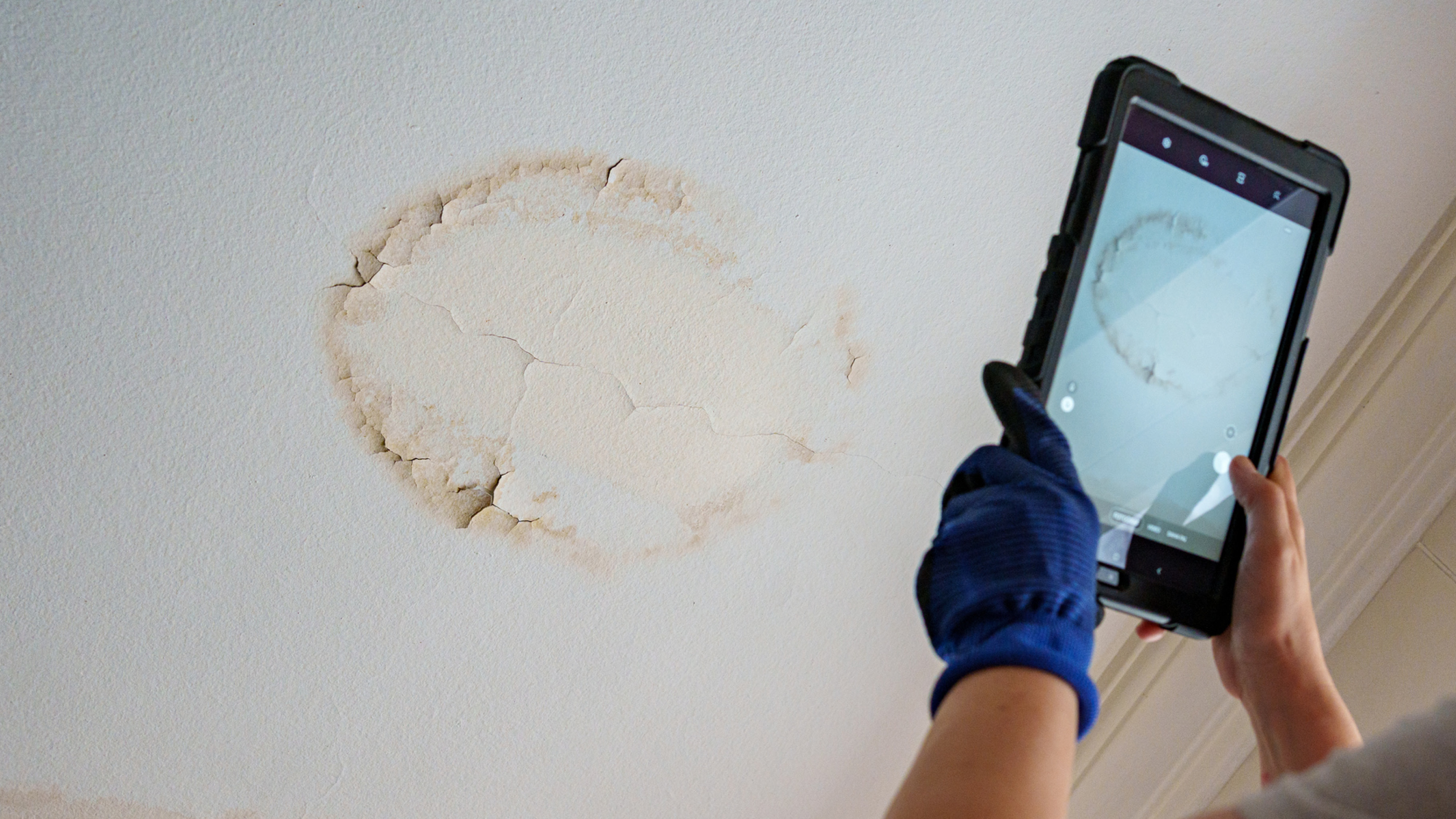 Brown water stain with cracked, peeling paint on a ceiling, a common sign of a roof leak, being photographed with a tablet.