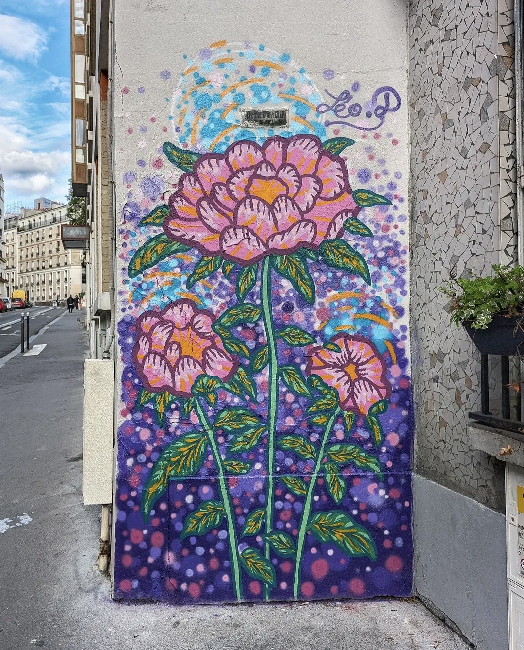 Visuel artiste