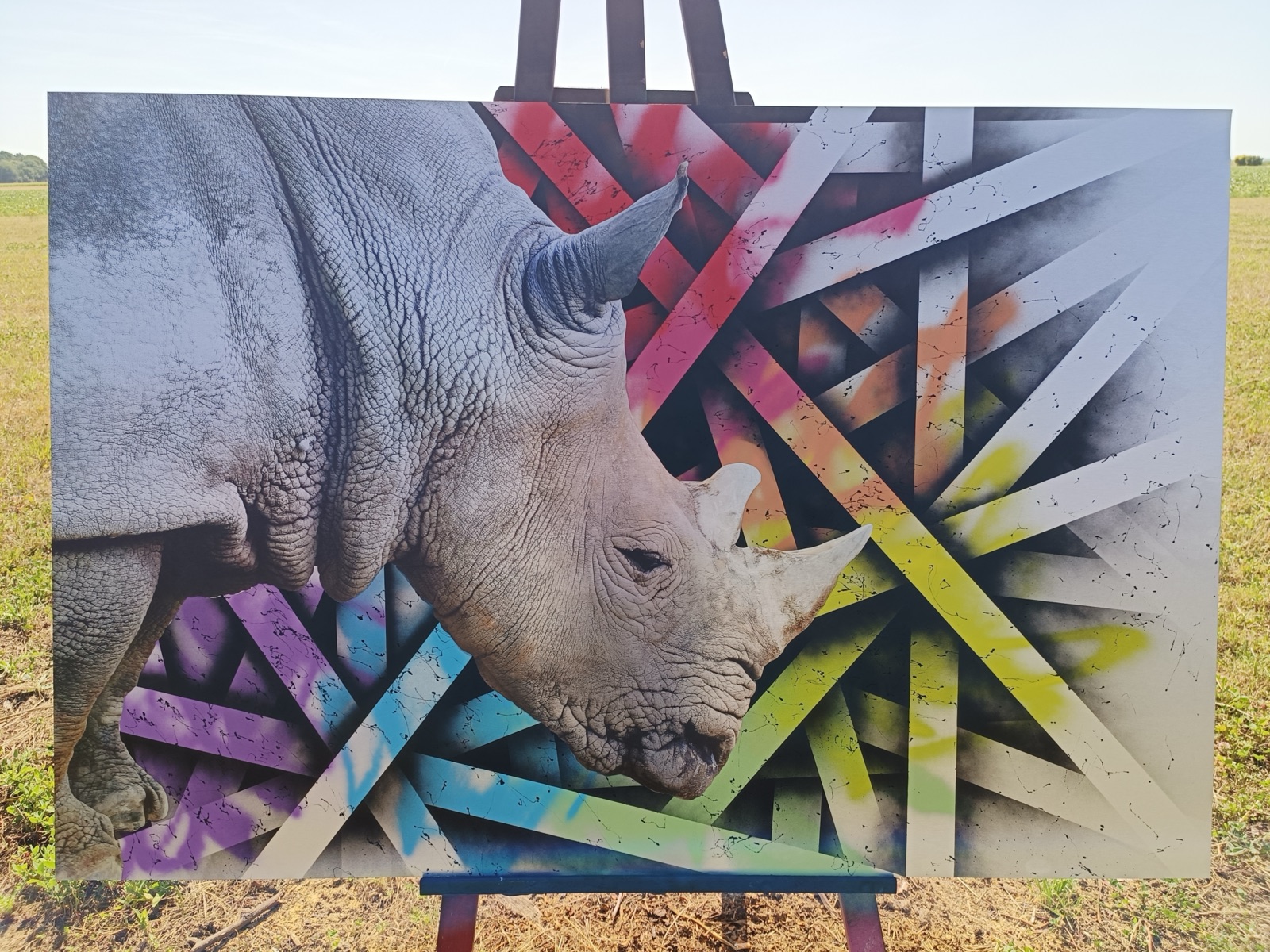 Visuel artiste
