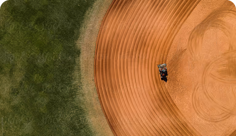 A field with green grass