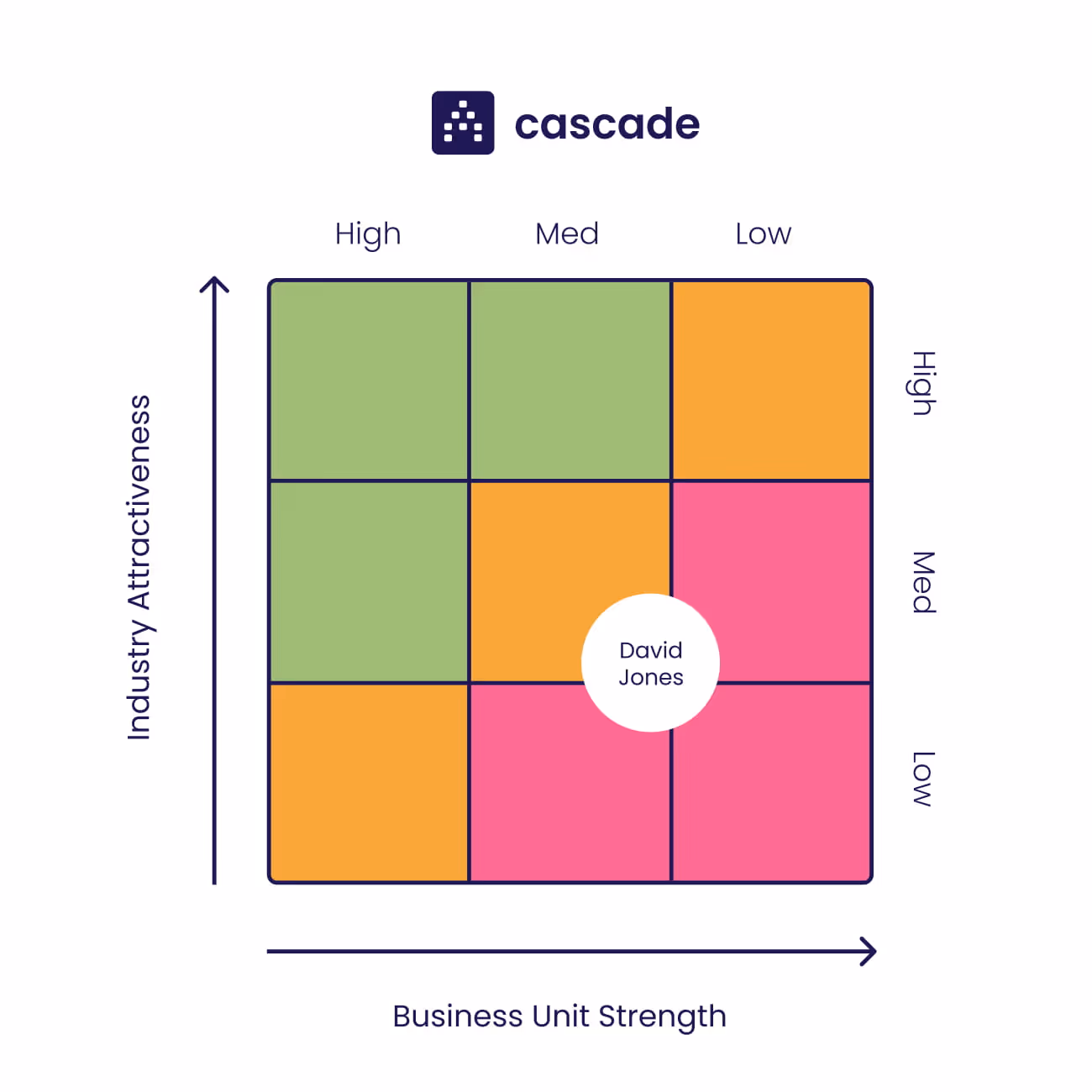 GE Matrix Example (Hold Strategy): David Jones
