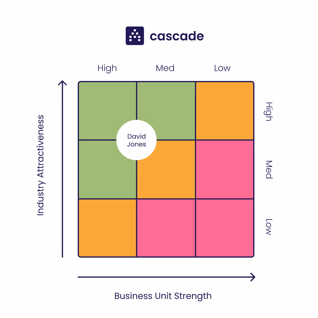 GE Matrix Example (Hold Strategy): David Jones