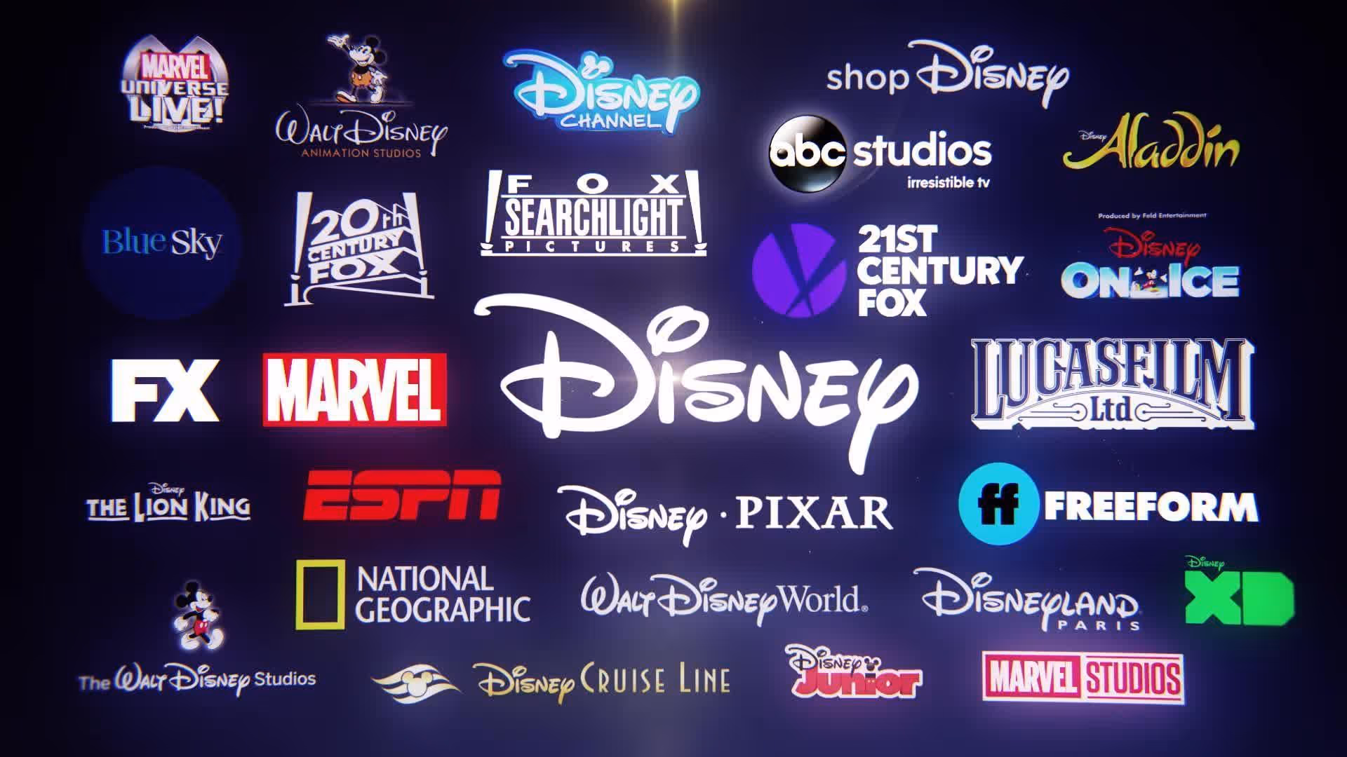 disney organizational strategy