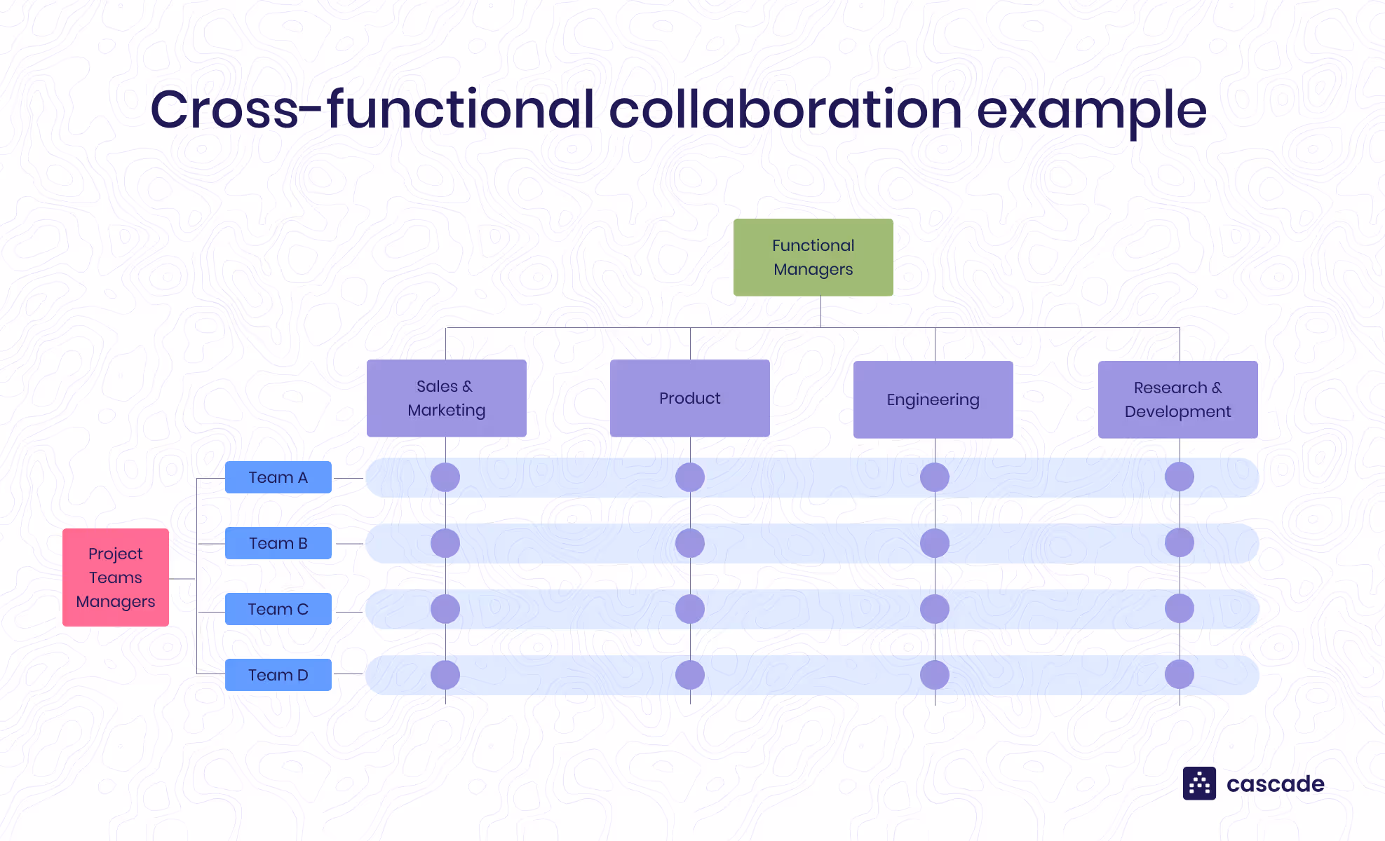 Example of a cross-functional organization structure