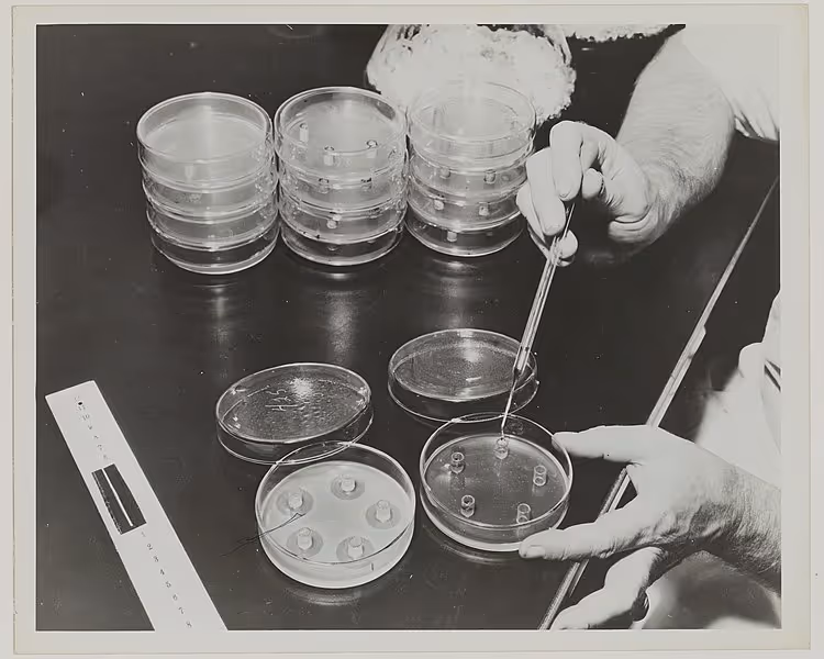 File:Photographie La fabrication du premier antibiotique, la pénicilline - Archives nationales - 19900512-29.jpg