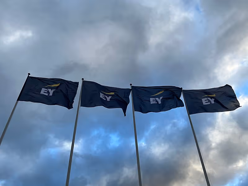 File:Ernst & Young four flags at EY-NMADP 14-18 November 2022.jpg