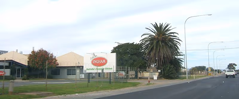 File:Ingham burton.JPG