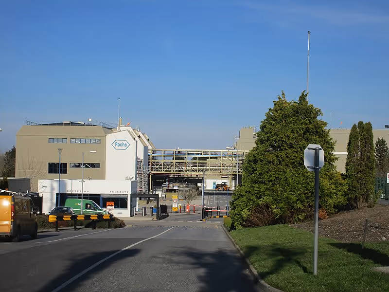 File:Roche Clarecastle.JPG