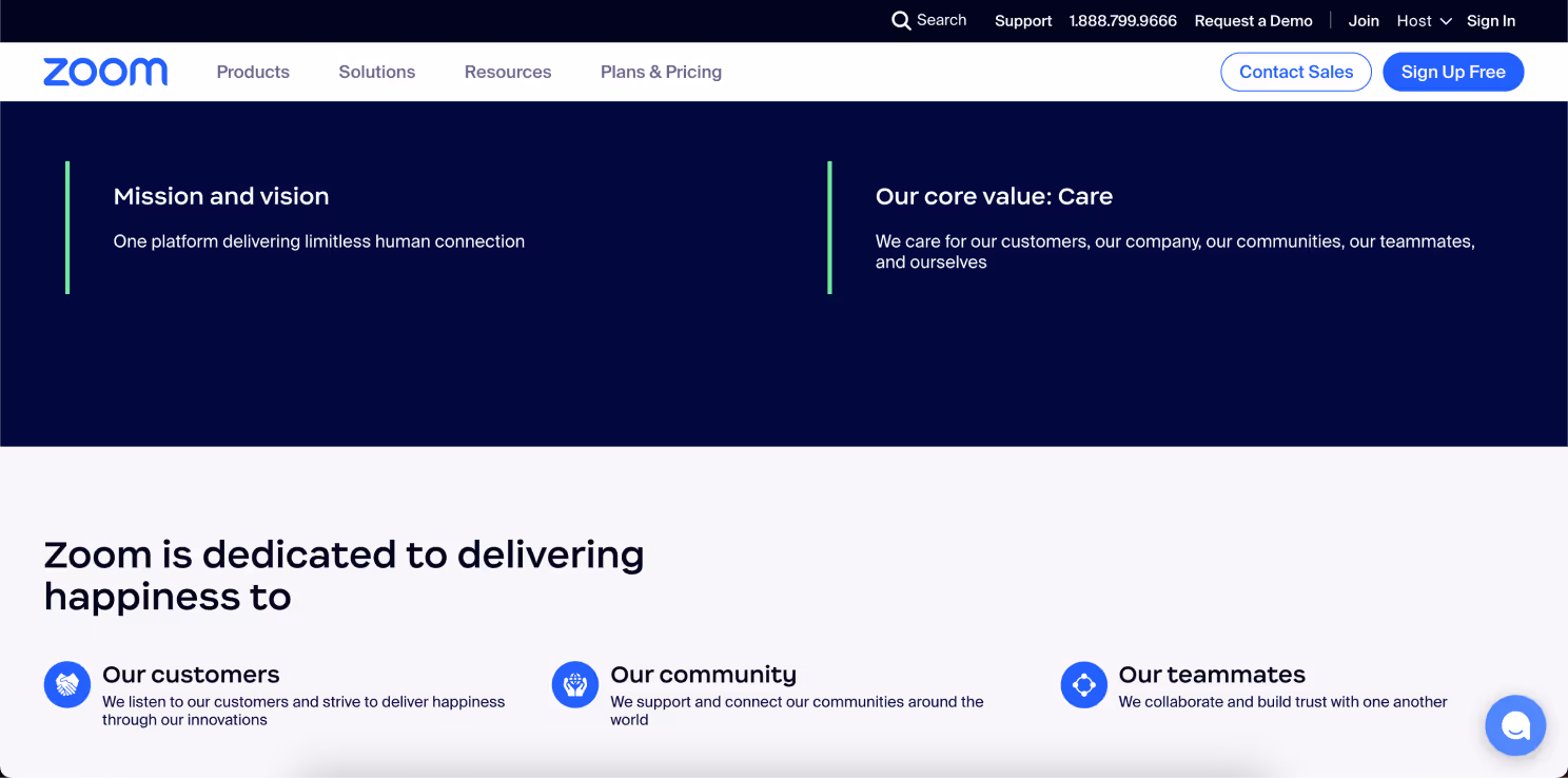 zoom vision statement