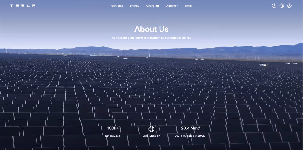 tesla vision statement