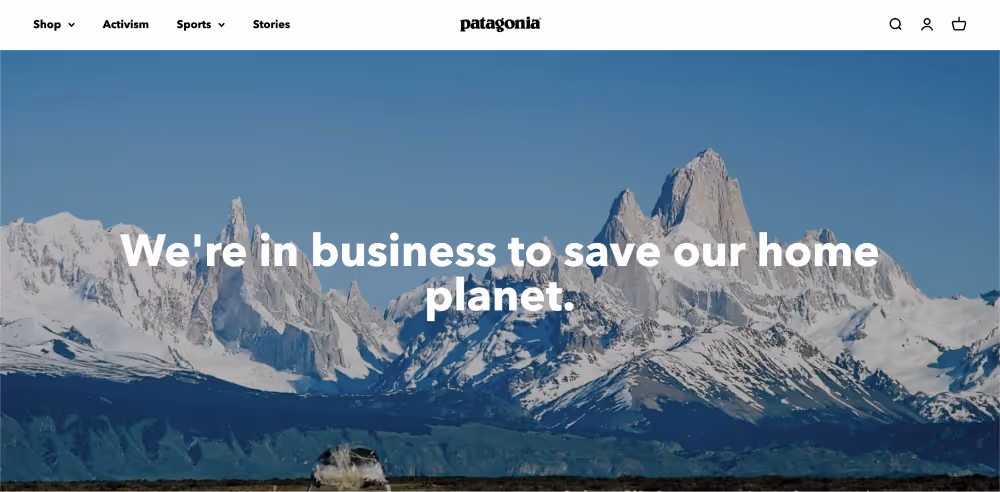 patagonia vision statement