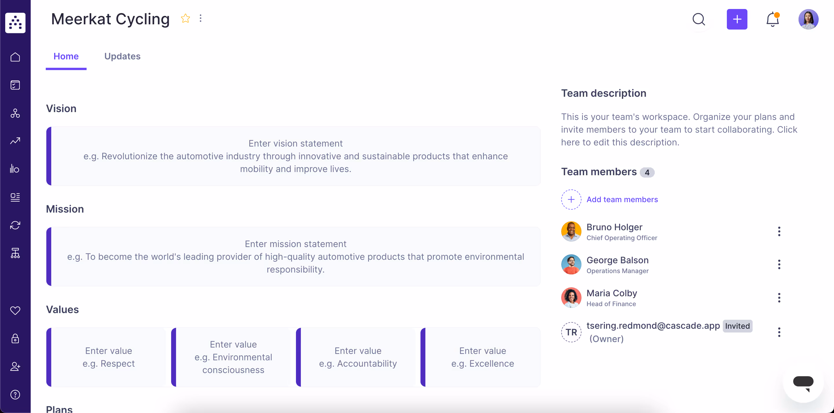 product screenshot with vision mission and values in cascade strategy execution platform