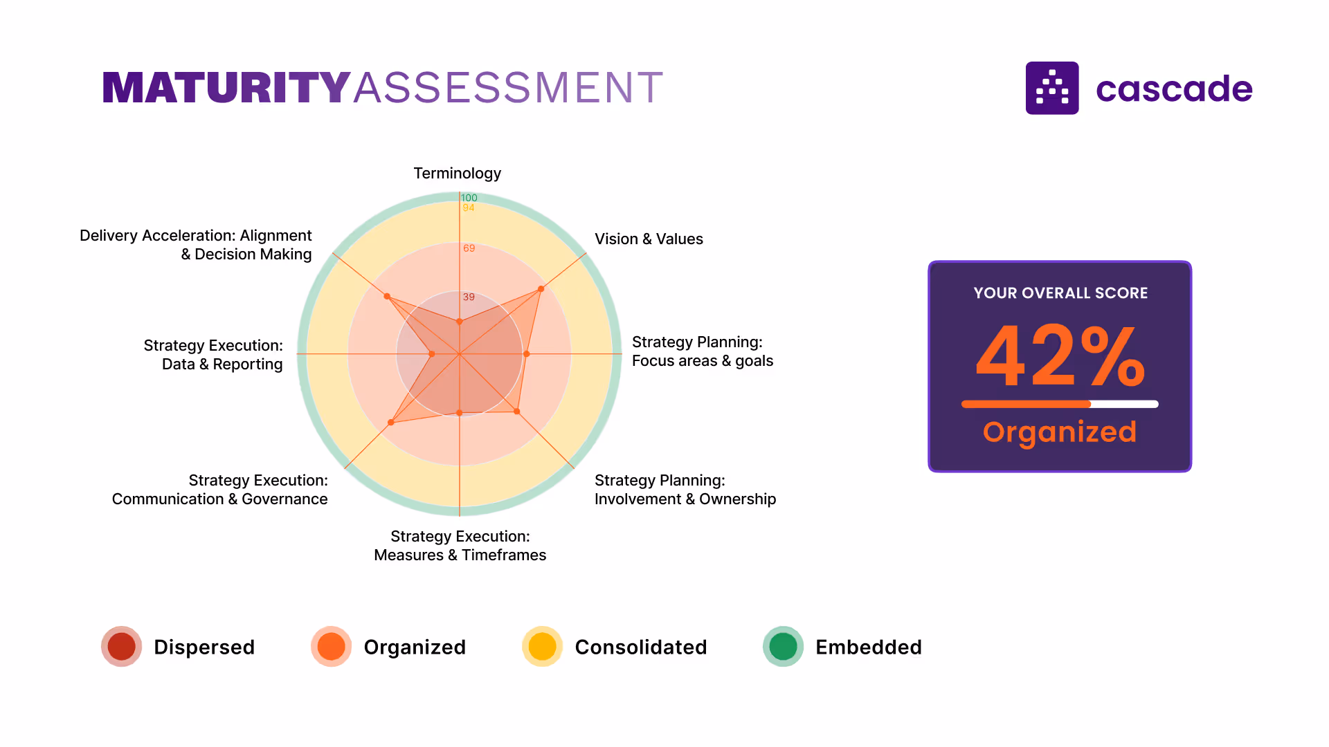strategy maturity assessment screenshot image