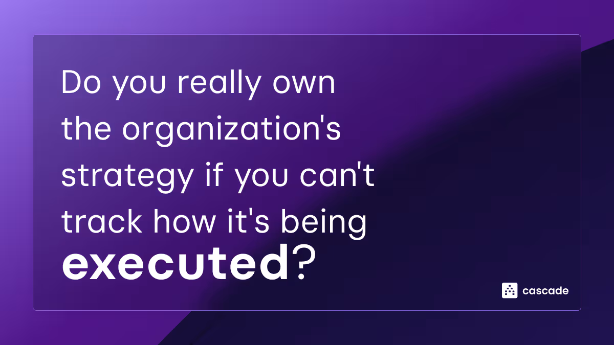 strategy ownership phrase - do CSOs own the strategy?