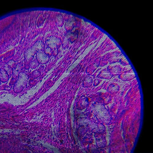 Differential Bio