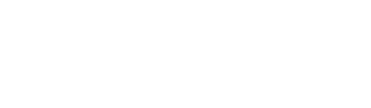 Lavoit