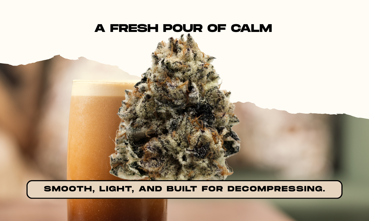 Close-up of Safety Meeting Coldfoam buds showing frosted trichomes and dense hybrid structure