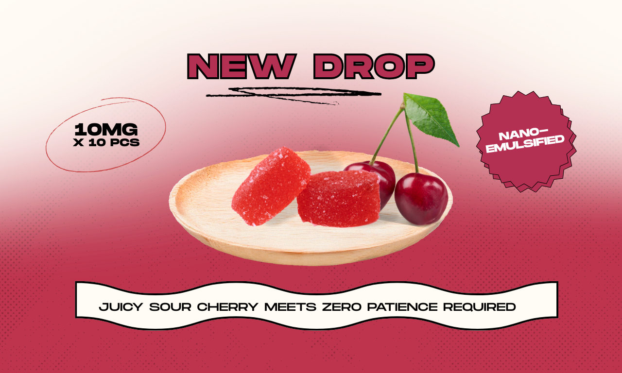 Close-up of Legacy Cherry Red Corvettes gummies with bright sour cherry coating