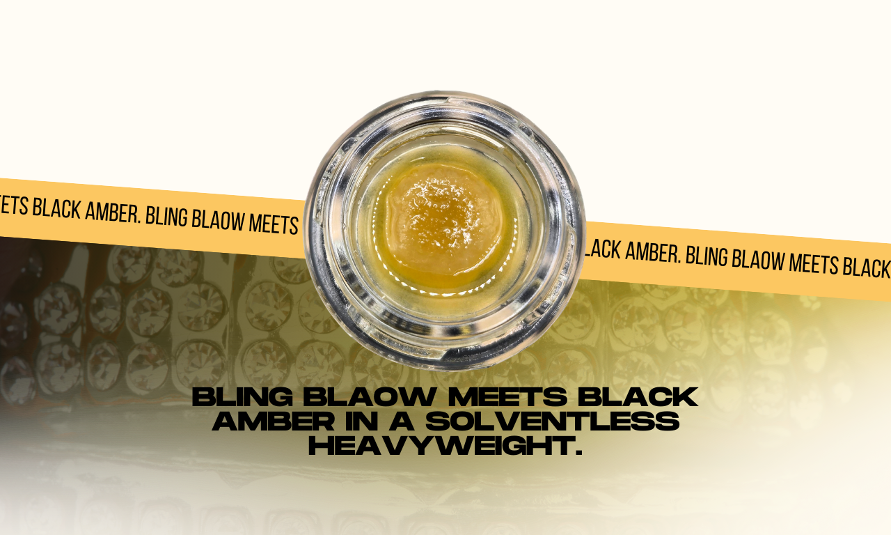 Close-up of The Hashberg showing sticky, trichome-heavy solventless hash