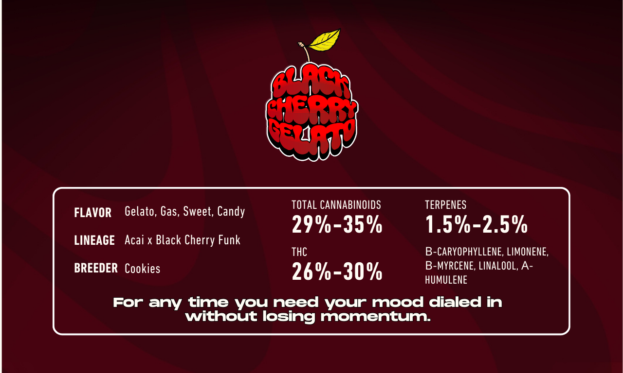Black Cherry Gelato Terpene Profile