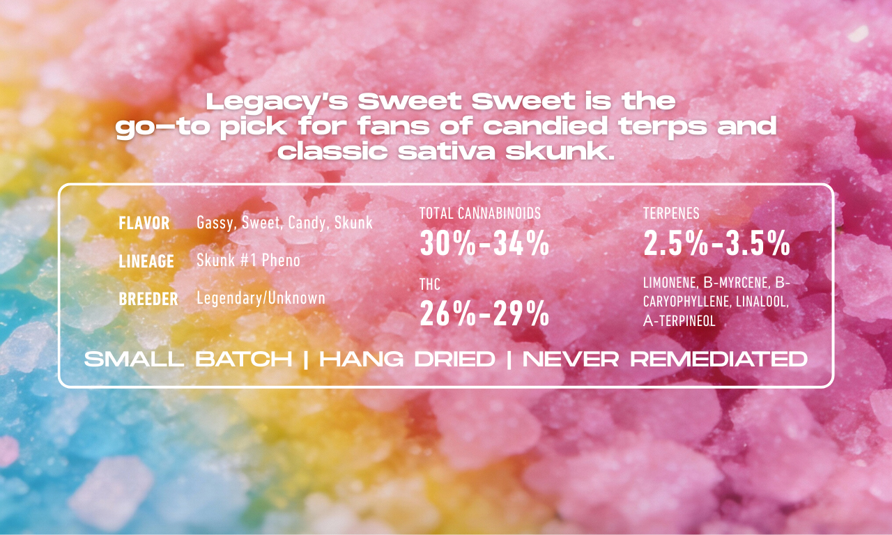 Terpene Profile Close-up of Sweet Sweet sativa flower by Legacy showing light green buds and trichome coverage