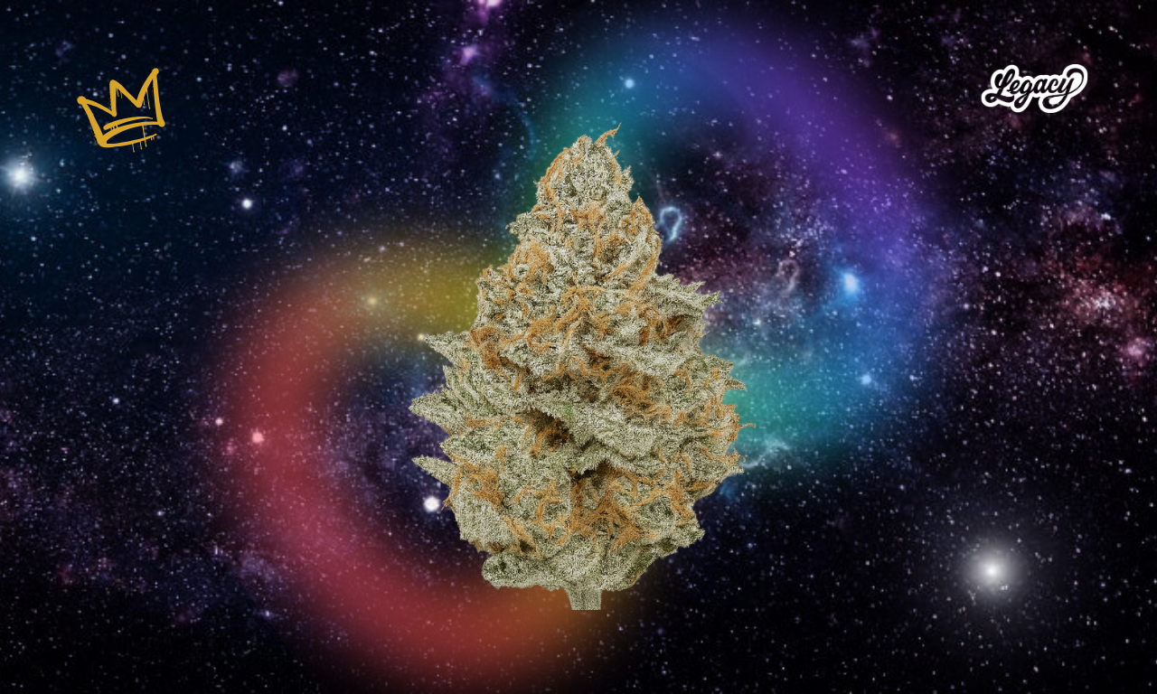Macro shot of Rainbow Belts 2.0 cannabis flower showing dense, trichome-covered buds with purple, green, and orange hues