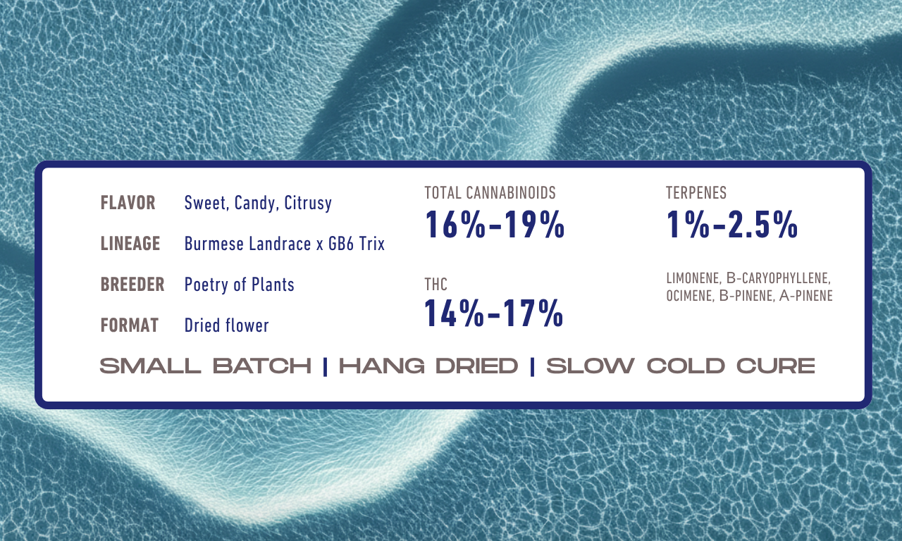 Terpene profile of Sex Wax strain showing tropical, sweet, and fruit-forward characteristics