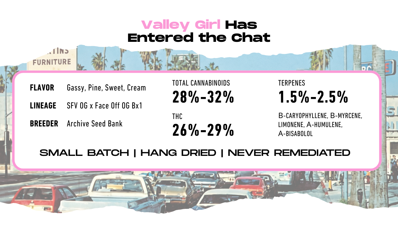 Valley Girl hybrid flower by Legacy terpene profile, total cannabinoids, flavor, lineage, and breeder.