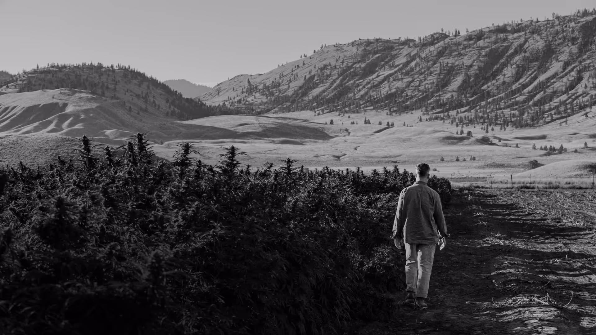 a man walking in a field