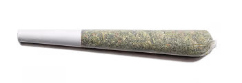 Pre-Roll-Cone