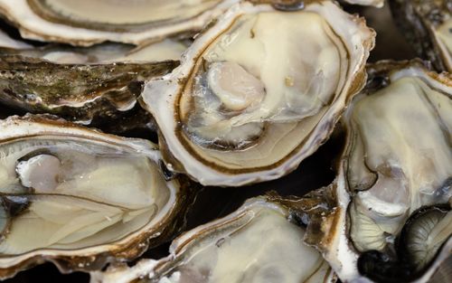 commander vos huitres françaises sur angers