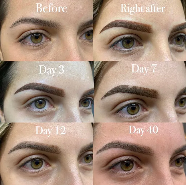 Powder brows before and after healing stage comparison