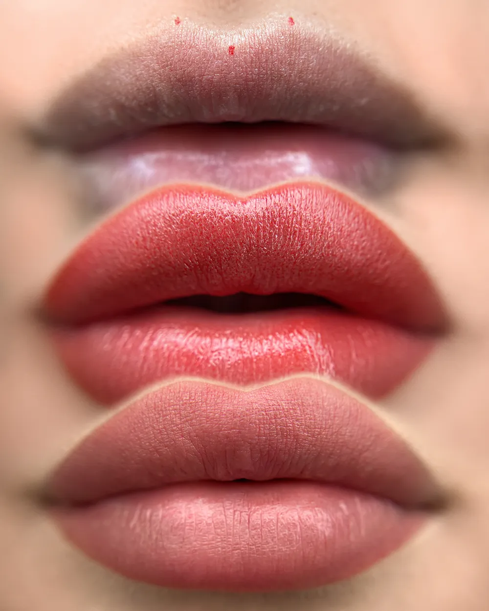 Lip blush permanent makeup results at Re:Pigment.Me Sterling VA