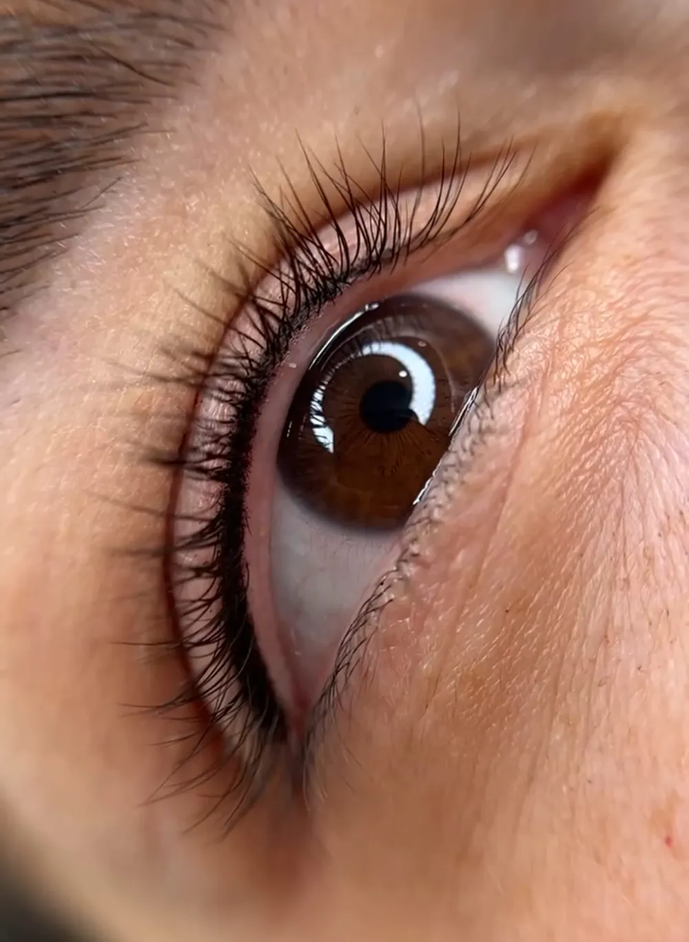 Eyelash enhancement tattoo result Northern Virginia