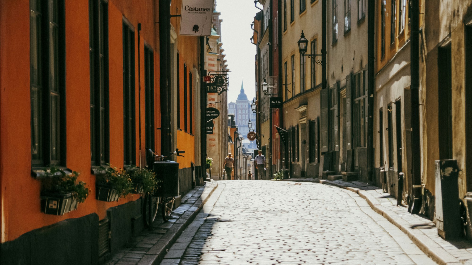 Photo by Jason Mendes on Unsplash