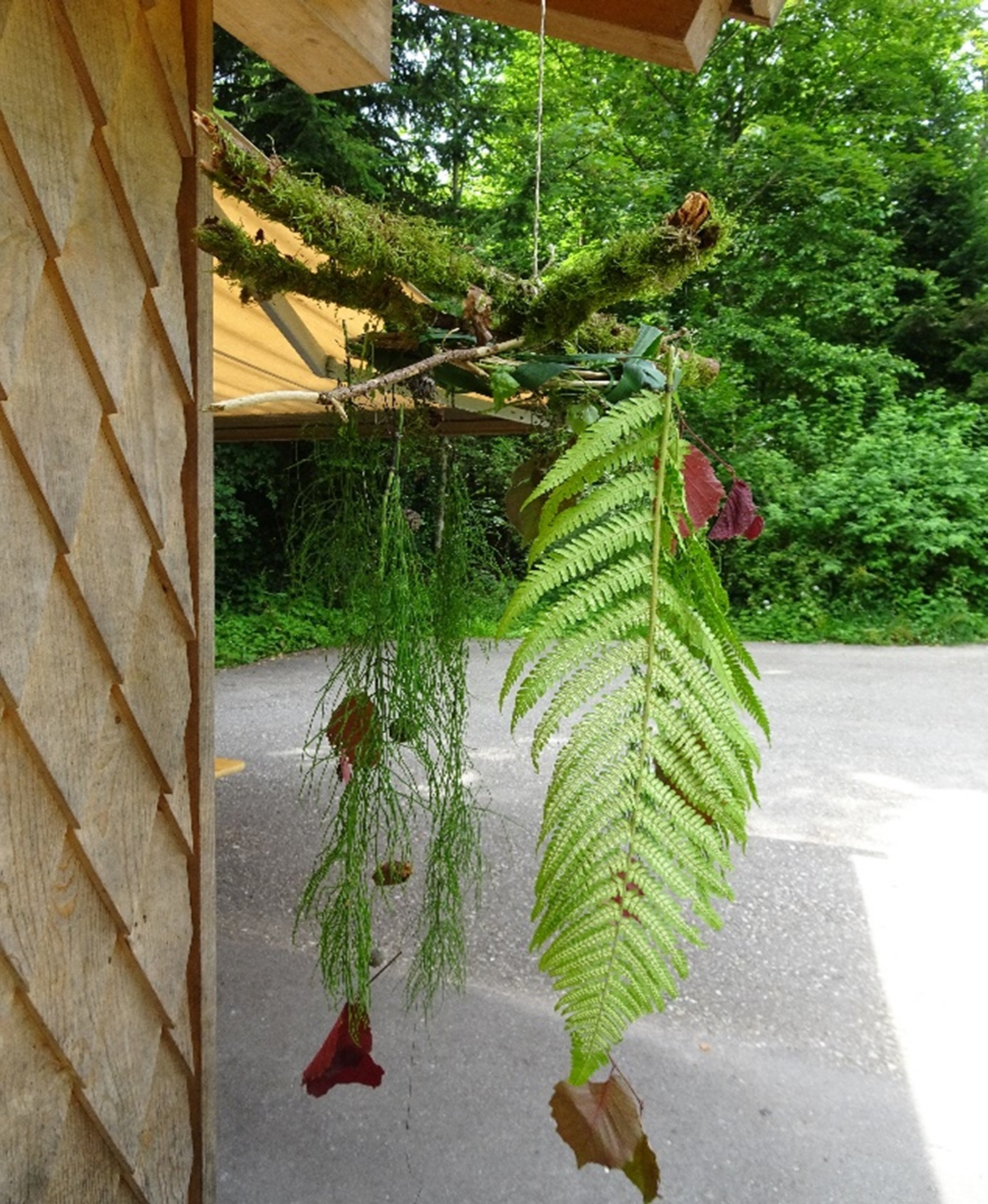 Mobile aus Farnblättern und Ästen an einem Holzunterstand im Wald