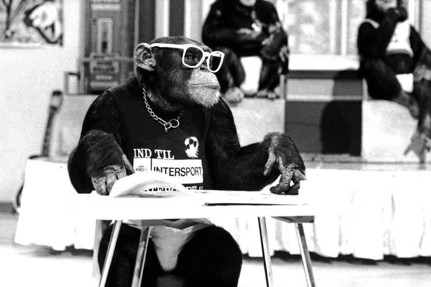 a photo of a chimpanzee wearing clothes and sitting at a desk like a student