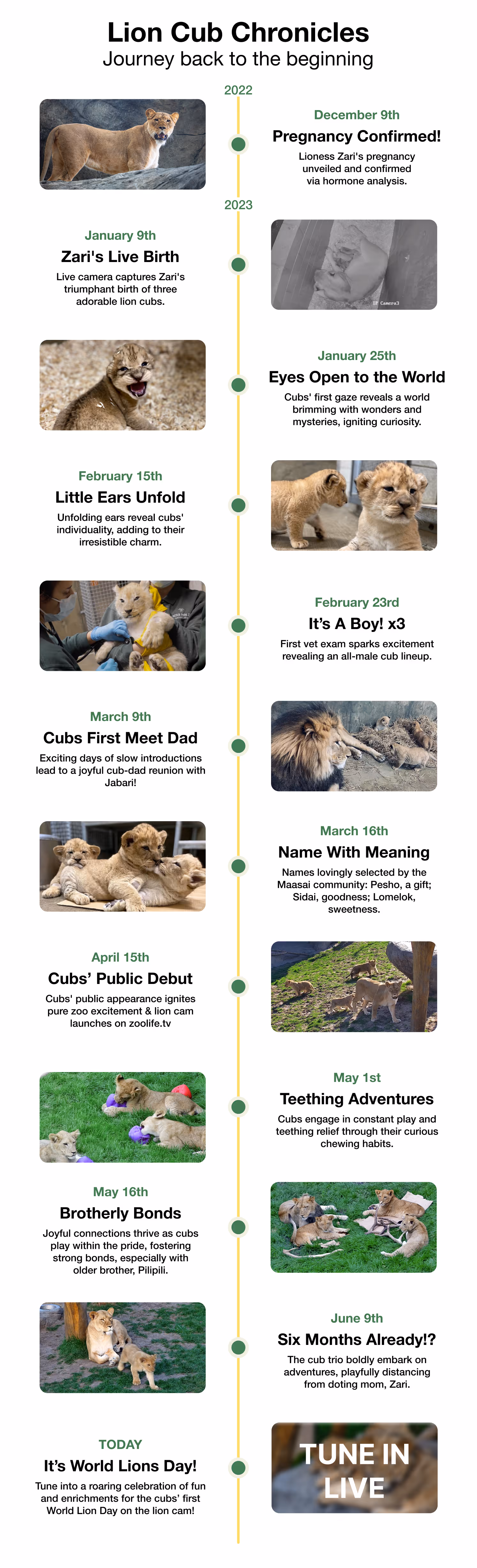A timeline of the triplet cubs